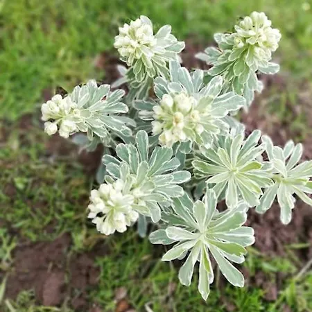 Сasa de vacaciones La Petite Maison De Marie *