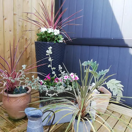 La Petite Maison De Marie Licques