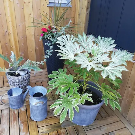 Сasa de vacaciones La Petite Maison De Marie Licques