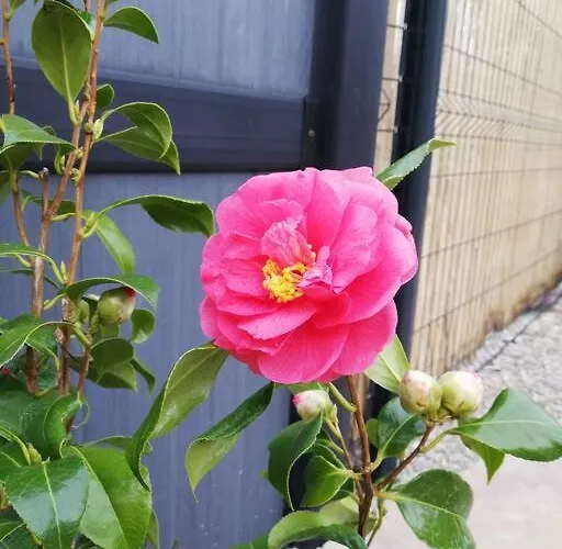 Casa vacanze La Petite Maison De Marie