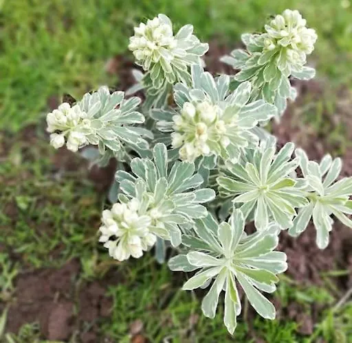 Casa vacanze La Petite Maison De Marie *