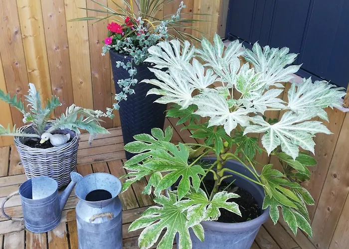 Casa vacanze La Petite Maison De Marie Licques